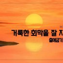 [주일설교 2023.4.16] 출애굽기 35:20~20 거룩한 회막을 잘 지으려면 예산수정교회 이몽용목사 이미지