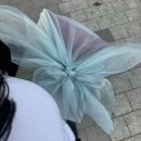 대화동떡집 20년 전통의 일산 떡 맛집 떡선물세트 후기 : 민속떡방