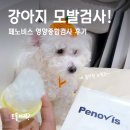 영양-9)영양군 서부리 15-1 | 페노비스 영양종합검사 후기, 강아지모발검사로 아토피 꼬꼬 건강 점검했어요