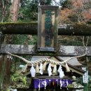 신사세탁 이미지