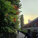 하계어린이공원 이미지