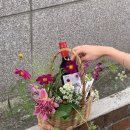 하이마이데이 이미지
