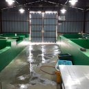 장어야 대게야 이미지