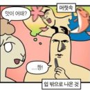 돼식가 이미지
