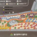 하나레포츠 이미지