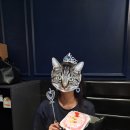 설빙호프