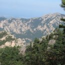 속초동물의료센터 이미지