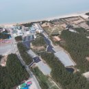 튤립공원 이미지