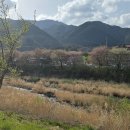 카페산책 이미지