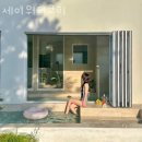 세이펜션 | 경주펜션 세이워터코히 여행 후기 객실 가격