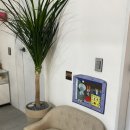 반야시스터 이미지