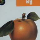 천보농장 이미지