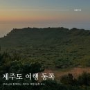 빛의 공간 | &lt; 부모님과 함께하는 제주도 여행 동쪽 코스 &gt; 제주도 성산일출봉, 제주도 빛의 벙커 후기 2