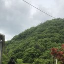 화기애애단풍캠핑장 이미지