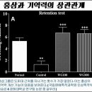 기억력 감퇴와 기억력 향상은 노력이 결정한다 이미지