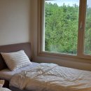 웨스트 스크린 골프 | 전북 변산 소노벨 부안 리조트 스위트 스탠다드 조식 키즈카페 부대시설 후기