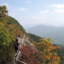 축령산 이미지