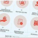 고양이분양 주식회사 제나캣 | 제나캣에서 만난 귀여운 고양이 친구들, 해운대고양이분양까지 완벽했어요!