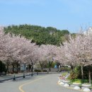 북구 빙상센터 입구 이미지