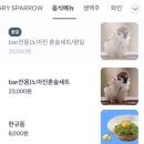 헝그리스패로 이미지