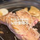 노란꽃돼지 이미지