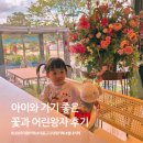 아이와 가기 좋은 별내 카페, 꽃과 어린왕자 솔직후기