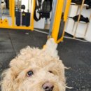 피티 아지트(PT AZIT) 이미지