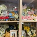 아름다운 애견 이미지