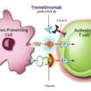 한국아스트라제네카(주) 이미지
