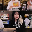 닭터
