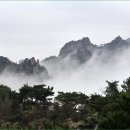 오늘도 신선 티스토리