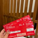 레드존 | 2025 한화 서울세계불꽃축제 VIP 관람석 레드존 후기❤️‍🔥🧨