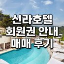 [신라호텔 피트니스 회원권] 2026년 최신 매매 후기 및 혜택, 연회비 총정리