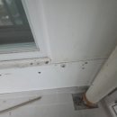 통영환경 | 🌊통영 한진로즈힐 탄성시공 후기