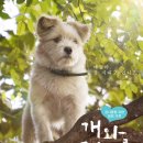 개와고양이 - 부천시 오정구 역곡로482번길 64 | 개와고양이