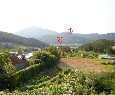 28237-04-04 네이버블로그