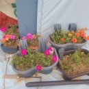 학표농자재 이미지