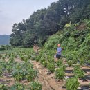 이정복농장 이미지