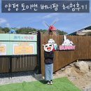 형제조류 | 양평 토이앤 버니팜 먹이주기 체험 후기