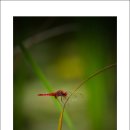 화음목장 이미지