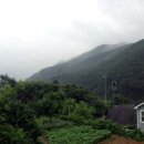 채송화하우스 네이버블로그