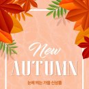 뉴코아 인천논현점