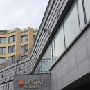 호텔 스테이 | 제주 서귀포올레시장 근처 가성비 숙소 추천 :: 엠스테이 호텔 숙소 후기