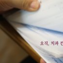어니언컴퍼니 이미지