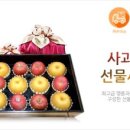 썬플러스