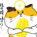 유자네 댕댕이 이미지
