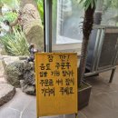 어린왕자디저트카페 | [제주 아이와 가볼만한곳] 이국적인 감성과 동물 먹이주기 체험이 가득한 '어린왕자감귤밭' 솔직 후기🍊