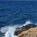 아일랜드 앤 코 이미지