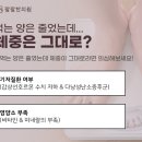 팔팔노래연습장 네이버블로그