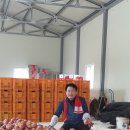 정종순농장 이미지